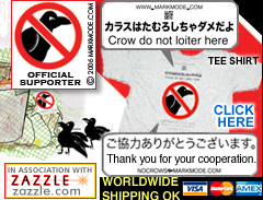 The original No Crows tee shirt in Japan